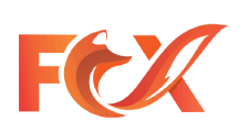 funny fox digital marketing