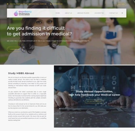 Educational Website